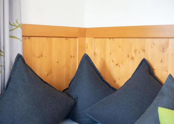 Haus Anita Sommer-bergbahnticket-unlimeted Apartmán